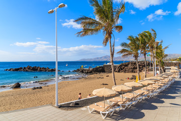 Tropical beach with palm trees and sunbeds in Puerto del Carmen, Lanzarote, Canary Islands, Spain
