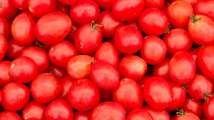 Fresh red tomatoes