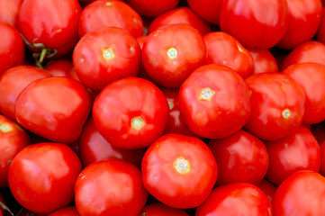 Fresh red tomatoes