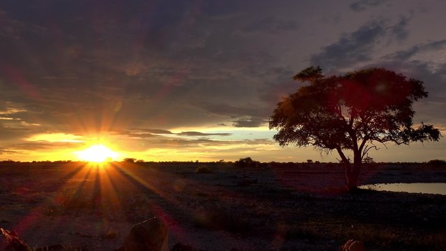 African Sunset as detailed timelapse 4K footage