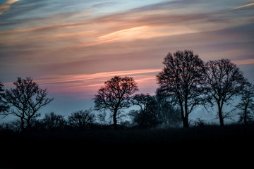 Abendstimmung auf dem Land