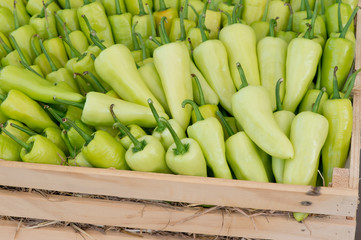 Chili Peppers in basket
