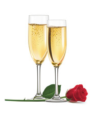 Champagne and rose isolated. Vector illustration