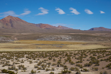 Large open plain high up in the Altiplano of northern Chile. The area is used by local people for grazing Alpaca and Llama.  In the background is the dormant Taapaca volcano (5860 m).