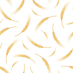 Seamless pattern with ears of wheat. Vector illustration.