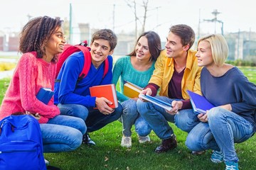 Obraz premium Friendship, Group Of People, Multi-Ethnic Group.