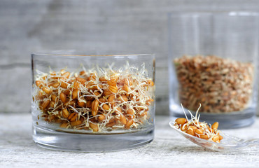 Wheat germ in a glass