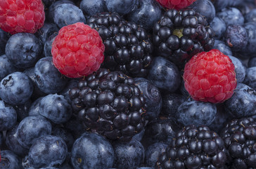 Berries