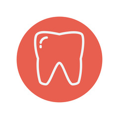 Tooth thin line icon