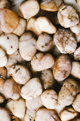 wet river stones background