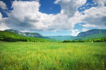 Obraz premium Green meadow in mountain.