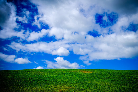 grass hill in front of cloudy sky