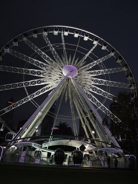 The new wheel of Perth at night
