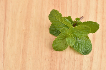 Fresh mint leaves on a wooden background.