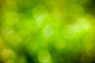 Fototapeta na wymiar Eco green bokeh blur background. 
