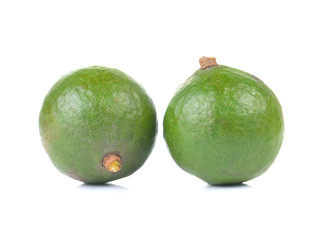  macadamia nut on white background