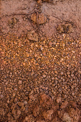 Layer of dry soil cracks to the root.