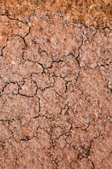 Layer of dry soil cracks to the root.