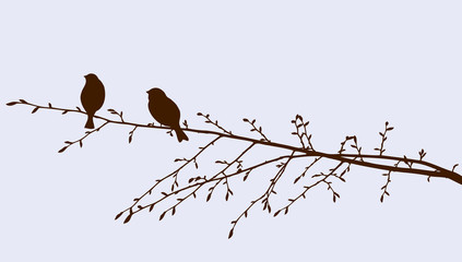 birds on a sprig
