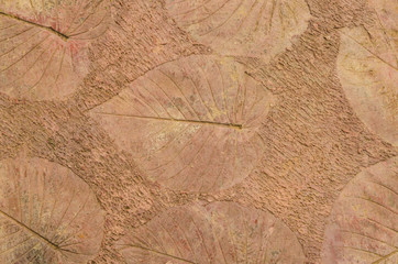 marks of leaf on the concrete pavement