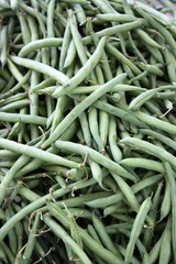 Fresh picked green beans, close up