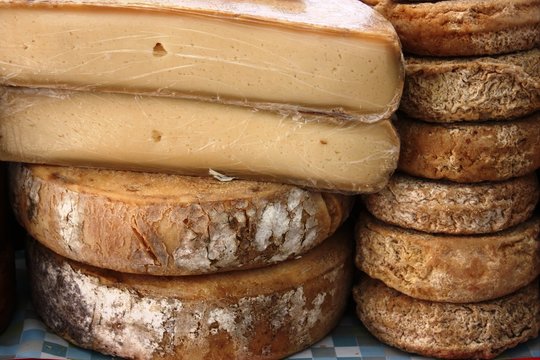 Traditional Italian cheese at the market in Italy