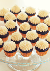 Cup-cakes close-up 
