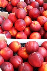 Fresh nektarine on the market 