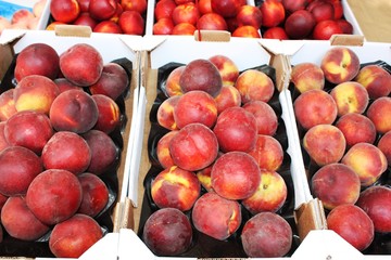 Fresh nektarine for sale