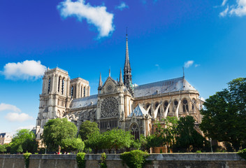 Notre Dame cathedral, Paris France - obrazy, fototapety, plakaty