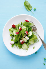 summer salad with radish and cucumber