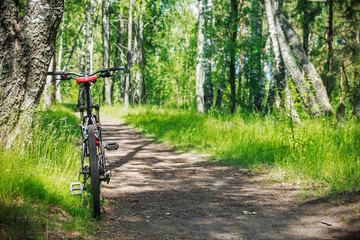 Fototapeta na wymiar mountain bike on a road in the woods