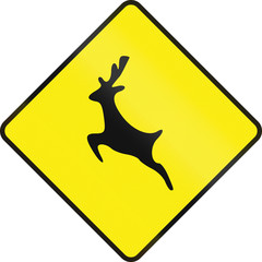 Irish road warning sign - Deer crossing