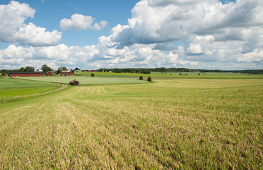 Scenic view of agricultural landscape in Sweden