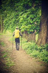 Fototapeta premium hiking