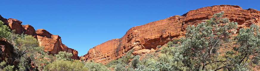 Fototapeta premium Kings Canyon, Australien