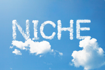 Fototapeta premium NICHE a cloud word on sky