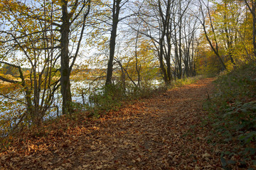 Obraz premium Footpath