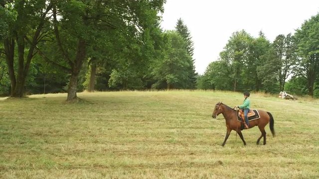 Young girl riding a horse in a meadow