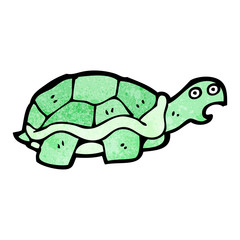 cartoon tortoise