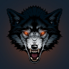 Naklejka premium Angry wolf illustration