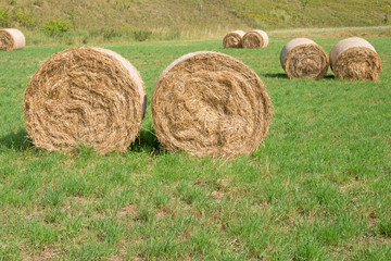 Strohrollen