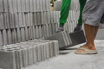 Bricks used in the construction