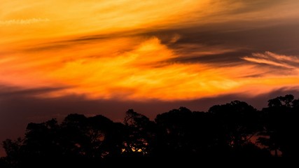 Sydney's opera house and skyline seen from the harbour bridge