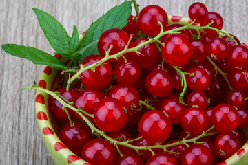 Red currant