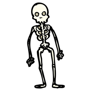 cartoon skeleton