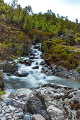 Fototapeta premium Waterfall