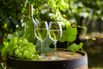 The glass of wine an and old barrel and grape
