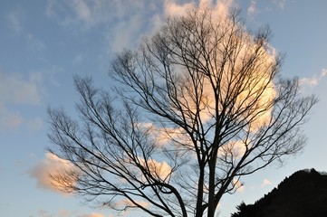 朝焼けの雲を背にして
