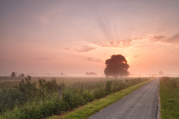 misty summer sunrise over bike road
